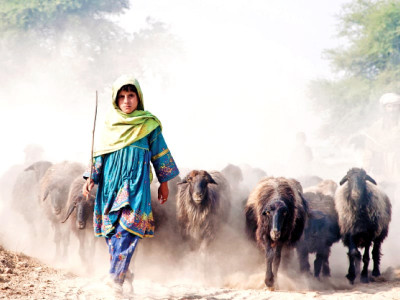 through the localens rediscover your surroundings in a thousand words