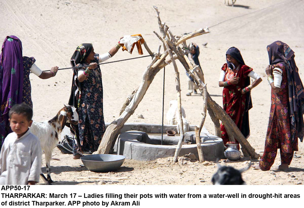 259 000 households were severely affected by the drought photo app