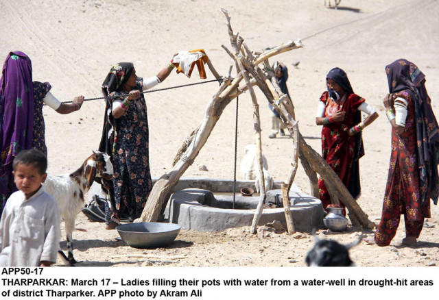 it is government s duty to alleviate the suffering of the people of thar says adviser to k p chief minister photo app it is government s duty to alleviate the suffering of the people of thar says adviser to k p chief minister photo app