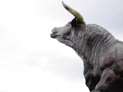 animal emergency anthrax kills 12 blue bulls animal emergency anthrax kills 12 blue bulls