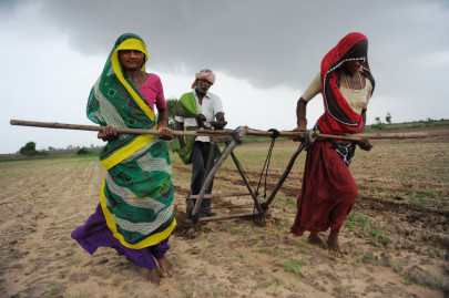 indian farmers take their lives after freak hailstorms