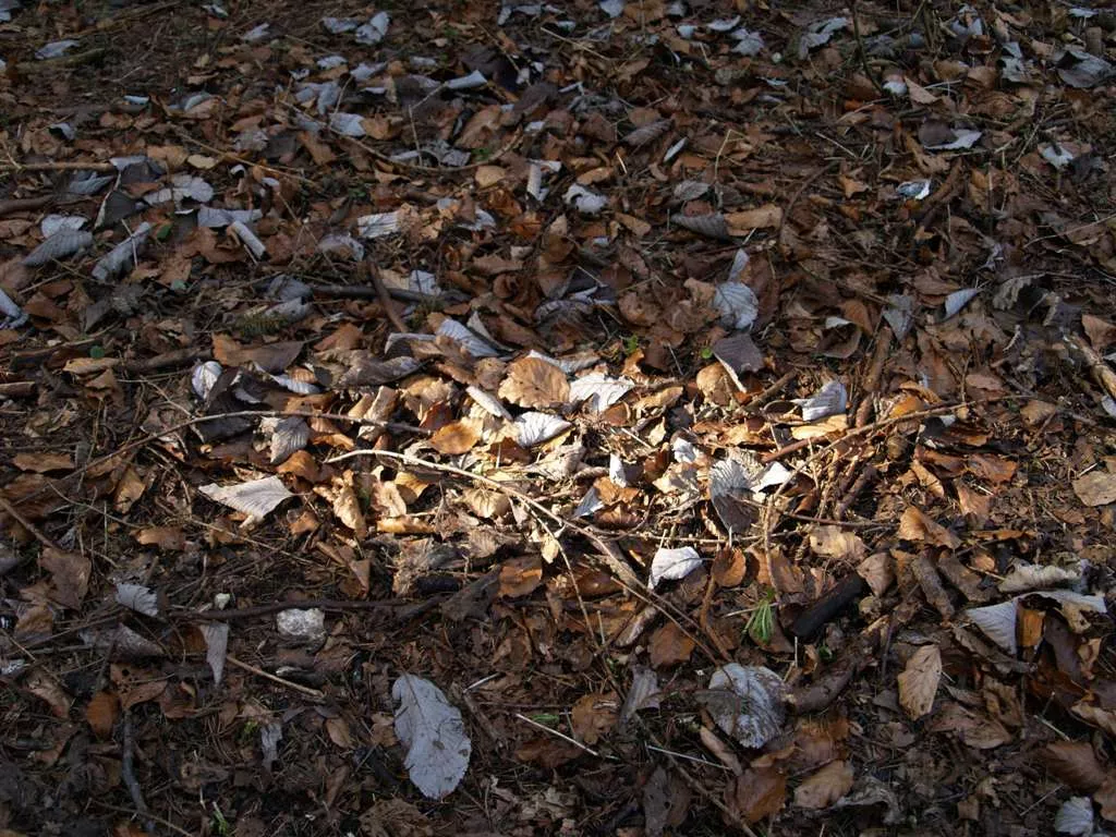 a policeman at the loi bher police station says the body had spent four to five months decomposing photo file a policeman at the loi bher police station says the body had spent four to five months decomposing photo file