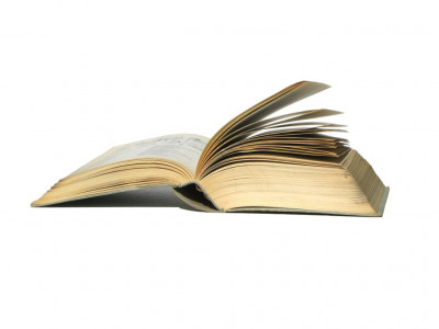 empowerment educated youth can lead to progress empowerment educated youth can lead to progress