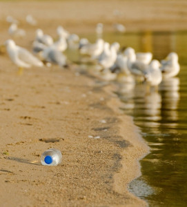 world water day arsenic in water supply cannot be removed world water day arsenic in water supply cannot be removed