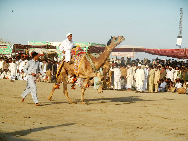 Updated Mar 24, 2014