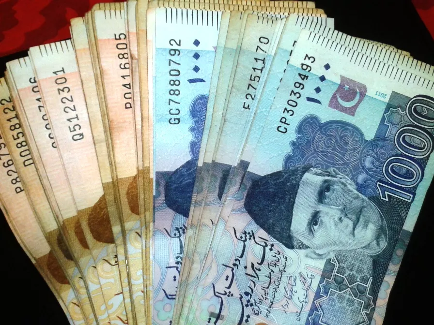 govt losing billions due to lax ipr protection photo mariam essa govt losing billions due to lax ipr protection photo mariam essa