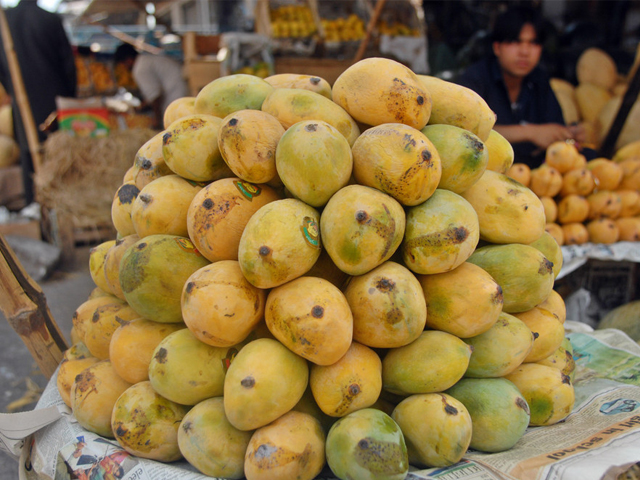 a pakistani fruit vendor surrounded by mangos waits for customers in a main fruit market in islamabad on july 4 2009 photo afp