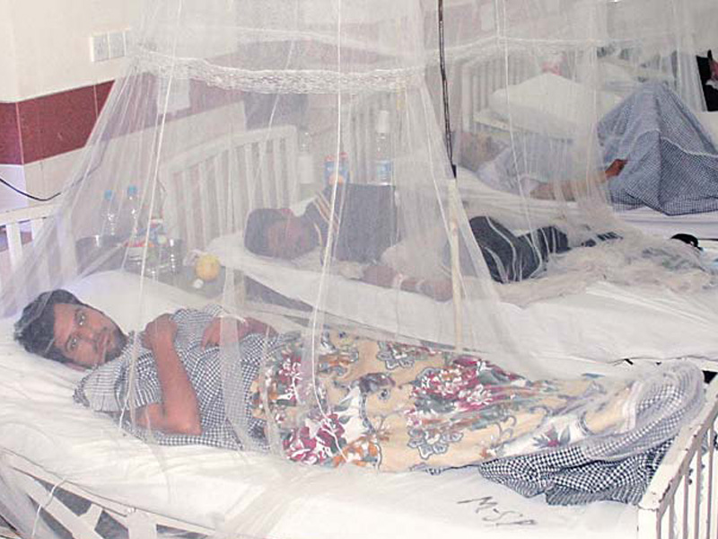 Sale of mosquito nets up on rise in dengue cases