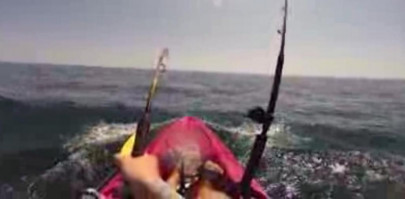 shark gives florida student two hour ride stars in youtube video