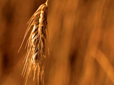 estimate of average inflation stable food prices consumer confidence causes for sbp s revision estimate of average inflation stable food prices consumer confidence causes for sbp s revision