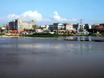 mosquito breeding ground artificial freshwater lake emerges as competitor to rawal dam mosquito breeding ground artificial freshwater lake emerges as competitor to rawal dam