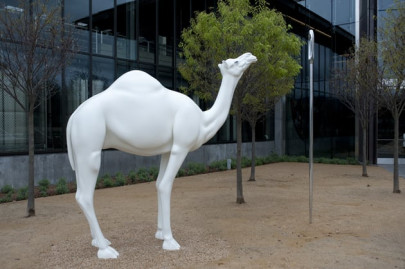 new us embassy in islamabad to get 400 000 camel sculpture