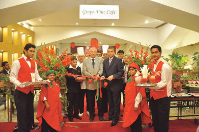 celebrating strawberries celebrating strawberries