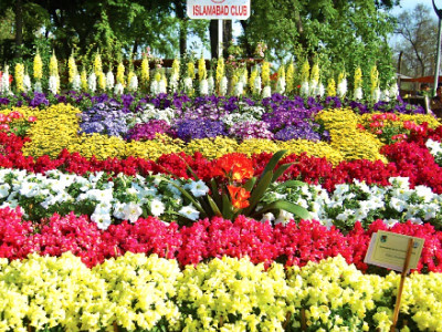 jashan e baharan kicks off