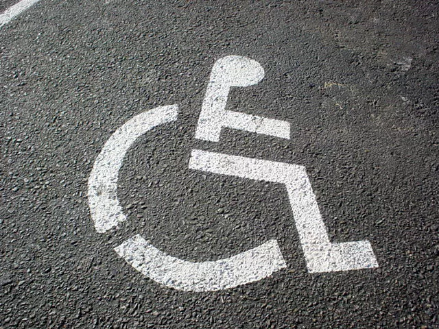 pakistan association of the blind president points out that only 2 quota in civil service jobs for the disabled photo file pakistan association of the blind president points out that only 2 quota in civil service jobs for the disabled photo file