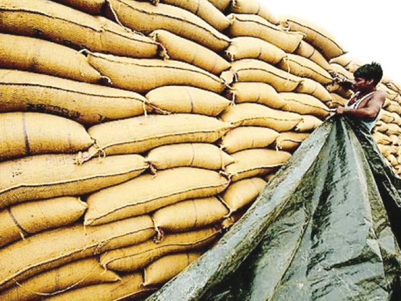 thousands of bags filled with wheat stored in government warehouses in the area waited for notification of a government official photo file