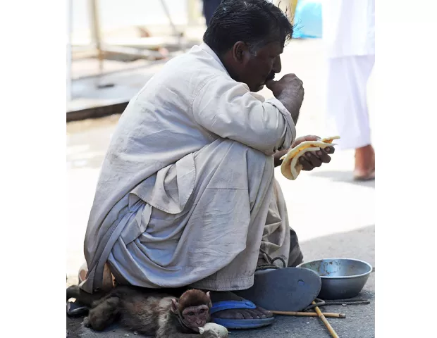 a man eats free food provided by a welfare association along a street in karachi on may 9 2012 photo afp a man eats free food provided by a welfare association along a street in karachi on may 9 2012 photo afp