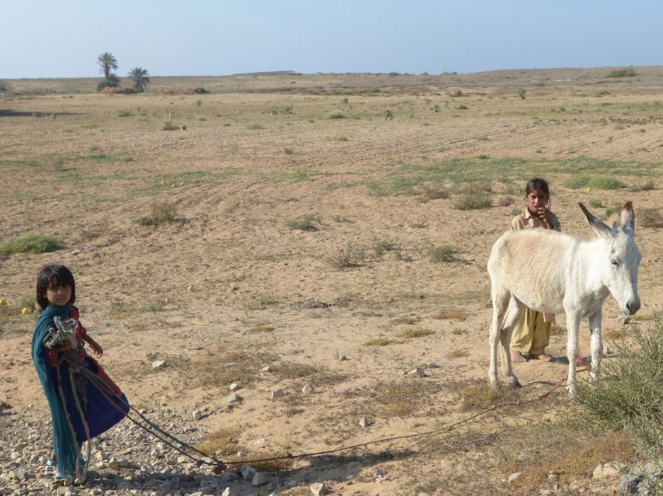 unicef says over 52 children in the province are chronically malnourished photo afp