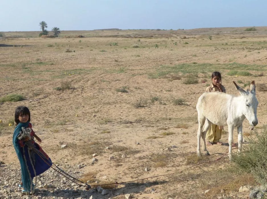 unicef says over 52 children in the province are chronically malnourished photo afp unicef says over 52 children in the province are chronically malnourished photo afp