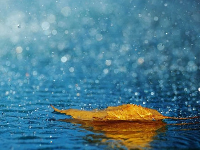 wwf p calls for rainwater strategy wwf p calls for rainwater strategy