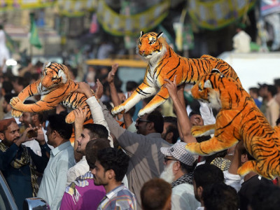 despite everything i will still vote for pml n despite everything i will still vote for pml n