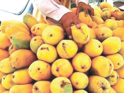 king of fruits exporters taking pre emptive steps ahead of mango season