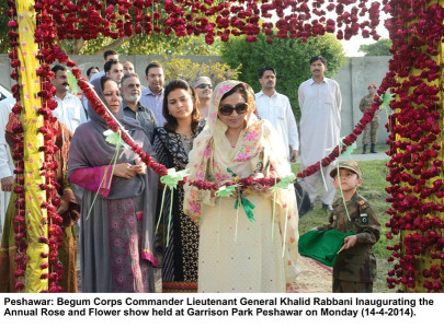 sight for sore eyes annual flower show held