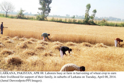 nutrition levels the greener the fields the healthier the children