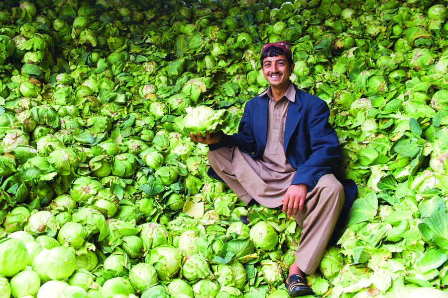 the islamabad sabzi mandi that was devastated by an attack this month is home to hundreds of labourer photos abdul qadir memon