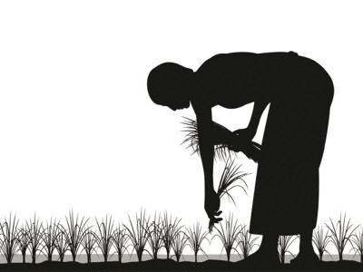 future plans tap into organic food market