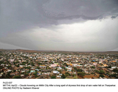 respite from drought the dunes change colour as rain falls on thar