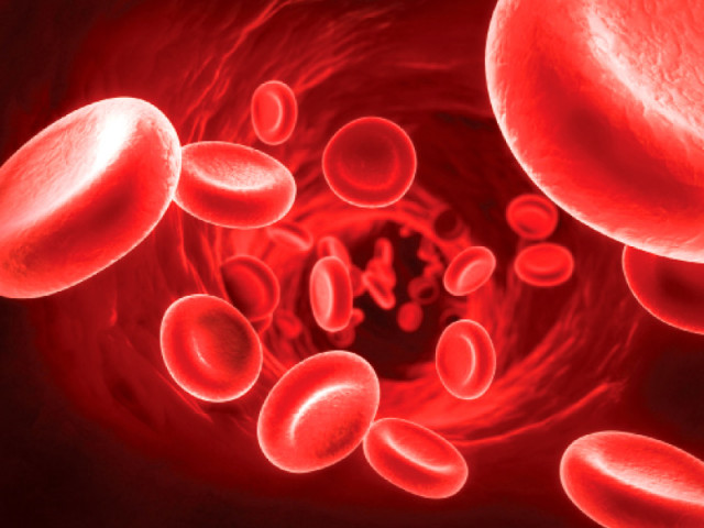 regular blood transfusions are painful and difficult photo file regular blood transfusions are painful and difficult photo file
