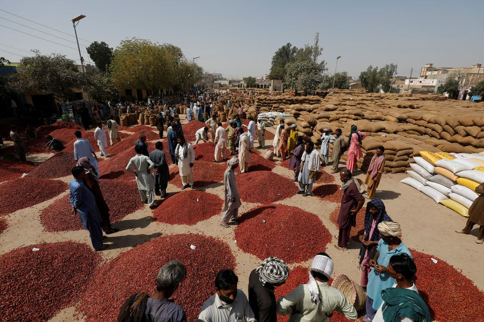 Traders work at the Mirch Mandi wholesale chili market, in Kunri, Umerkot, Pakistan, February 24, 2022. 