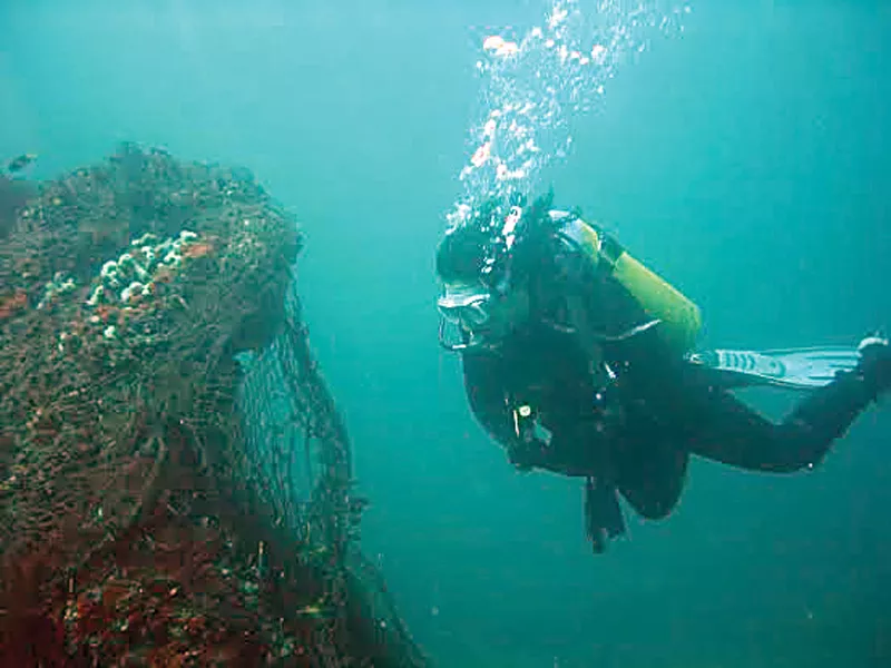 engineer pervez sadiq has been scuba diving off the coast of karachi since 1978 but the divers have been forced to slowly move west as the waters became murkier over time photos courtesy pervez sadiq engineer pervez sadiq has been scuba diving off the coast of karachi since 1978 but the divers have been forced to slowly move west as the waters became murkier over time photos courtesy pervez sadiq