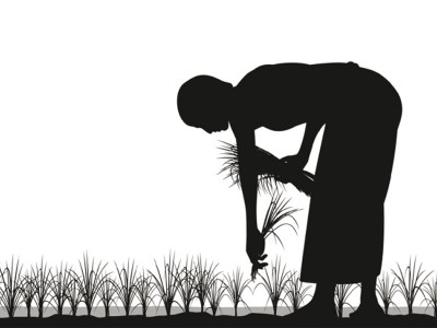 for better produce training launched for farmers in g b