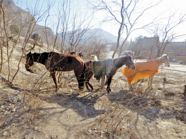 the makeshift roads through this terrain can only be travelled on foot or on a mule s back photos abuzar afridi express the makeshift roads through this terrain can only be travelled on foot or on a mule s back photos abuzar afridi express