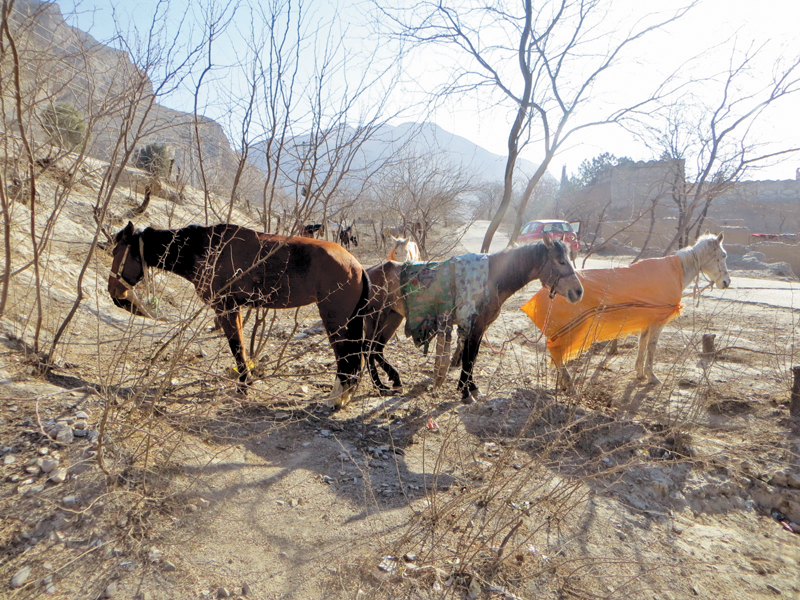 the makeshift roads through this terrain can only be travelled on foot or on a mule s back photos abuzar afridi express