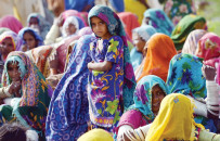 bats attack tharparkar