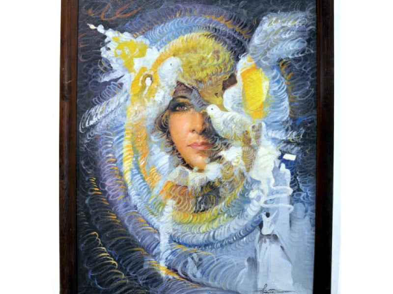 over 64 art pieces by 26 artists on display at rac photo express