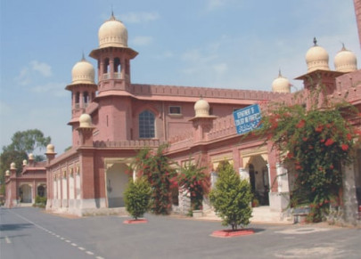 food security heat tolerant maize can help alleviate hunger