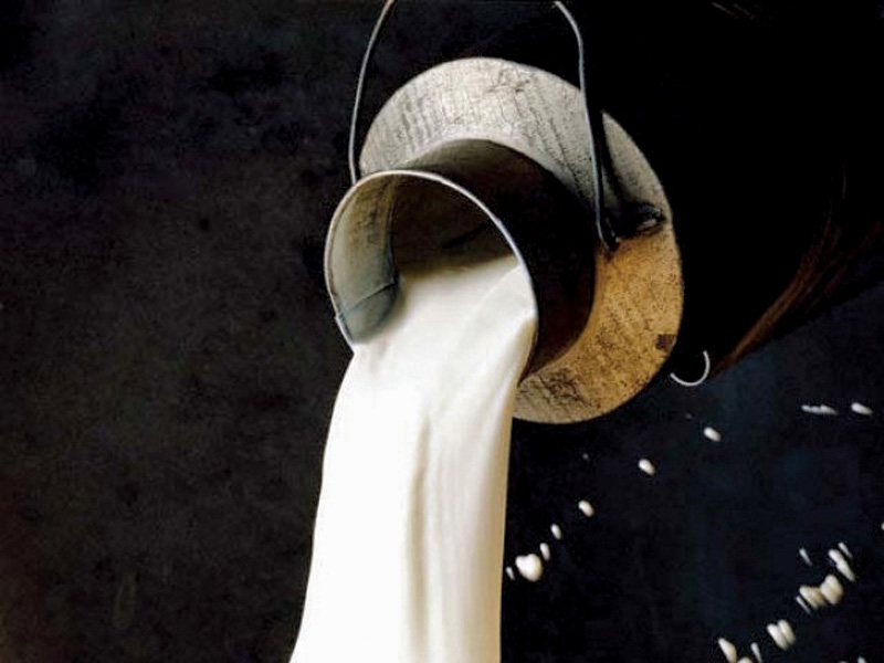 milkmen disappear as govt toughens regulations to check adulteration photo file