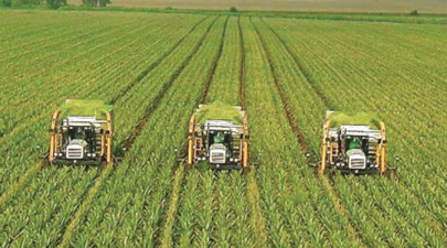 agriculture sector must adopt modern technology