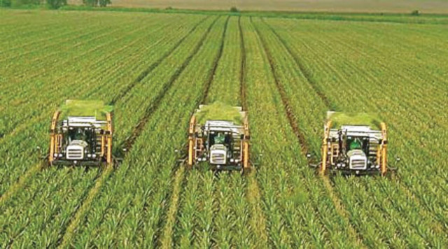 use of latest technology can increase production and farmers can earn handsome profits photo file