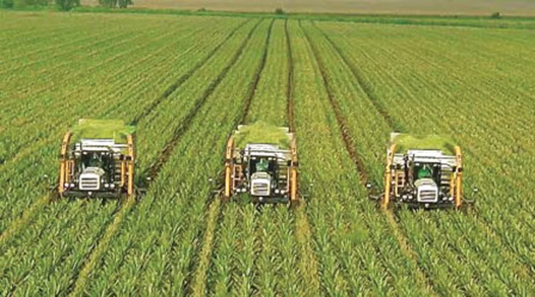use of latest technology can increase production and farmers can earn handsome profits photo file use of latest technology can increase production and farmers can earn handsome profits photo file