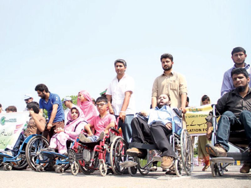 girls and disabled children at the walk photo inp