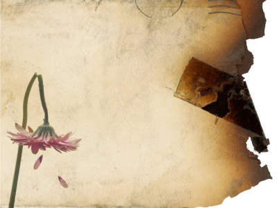 domestic violence not doing the dishes costs man his ear nose