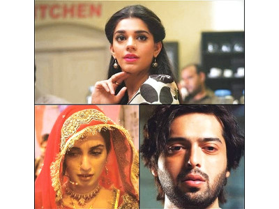 did you know mah e meer a film inspired by mir unveiled