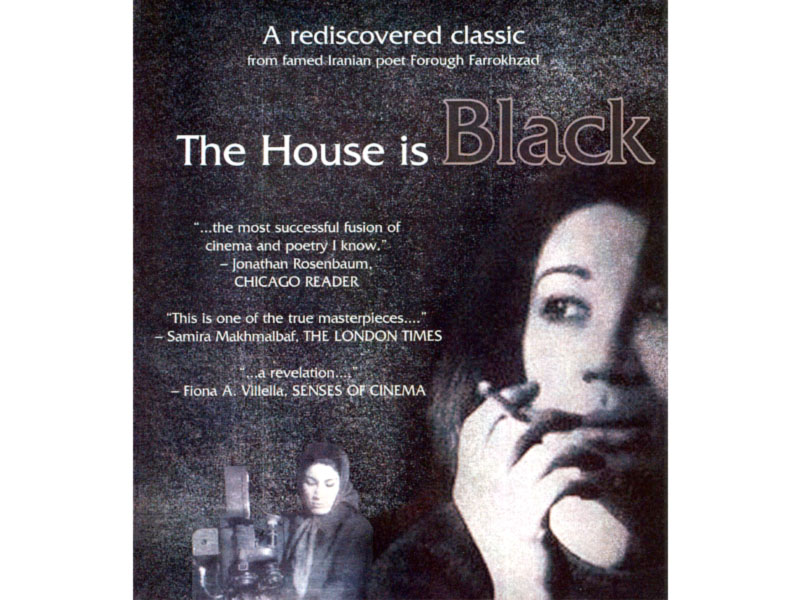 film review the house is black   the other face of beauty
