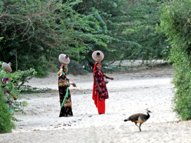 two women from a village in thar carry water back home dr arfana mallah said that the appointment of only 181 government doctors for a population of 1 5 million tharis was reflective of the sindh government s negligent attitude photo file two women from a village in thar carry water back home dr arfana mallah said that the appointment of only 181 government doctors for a population of 1 5 million tharis was reflective of the sindh government s negligent attitude photo file
