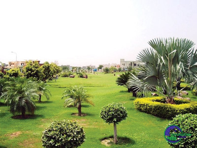 seasonal wisdom for a verdant lahore seasonal wisdom for a verdant lahore